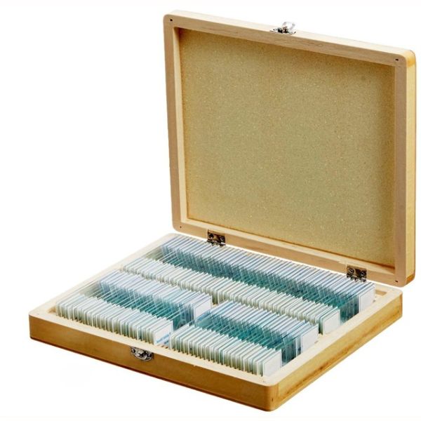 Mixed 100 Kinds Fitted Wooden Box Prepared Slides For Biology