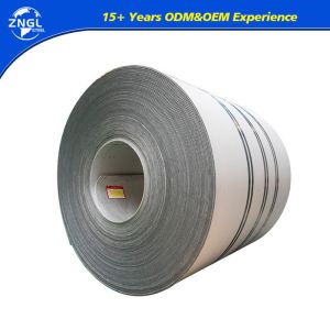 316L 310S 904L Stainless Steel Coil Roofing Sheet Payment Term 30%T/T Advance 70