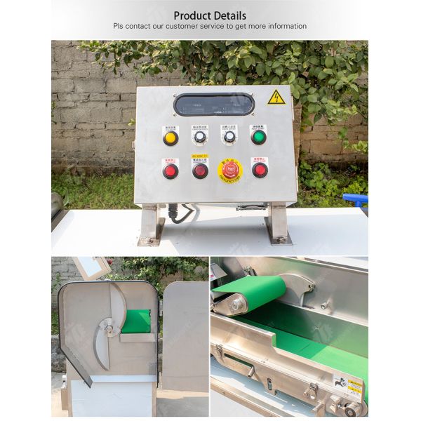 Double head vegetable cutting machine papaya chieh qua pumpkin wax gourd Ginger Potato Carrot radish Taro Sweet potato Yam onion Greens Lettuce Cao