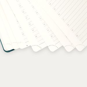 Pacific Green ODM OEM Executive Weekly Planner Hardback