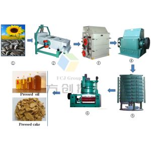 New Type Seed Oil Extraction Machine Oil Expeller for Seeds Big Capacity Cold