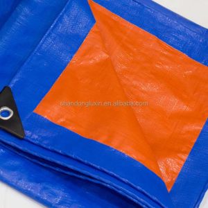 Customized Laminated PE Tarpaulin Plastic Tarps Fabric Sheet Density 6*6-16*16