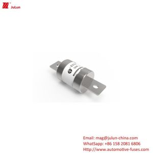 EV Fusing Bolt On Automobile And Electrical Fuse Adapters DC500V