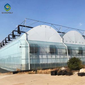 33ft Pe Elasticity Elliptical Plastic Film Greenhouse