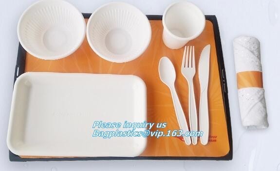 Buy SUGARCANE BAGASSE PLA DINNERWARE BIO ECO TABLEWARE, CUP PLATE BOWL CONTAINER,PLA DISH TRAY, CULTERY BAGPLASTICS BAGEASE at wholesale prices