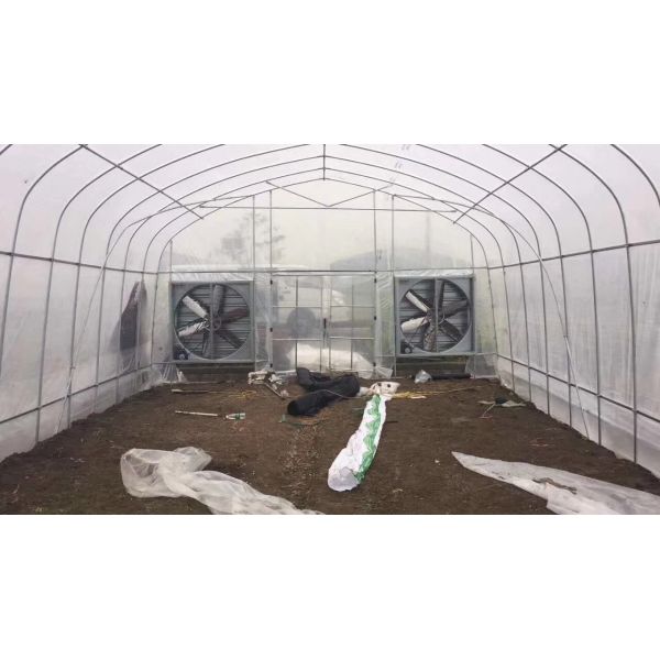 Fan And Pad Greenhouse Cooling System Increase Air Cycle Easy Installed