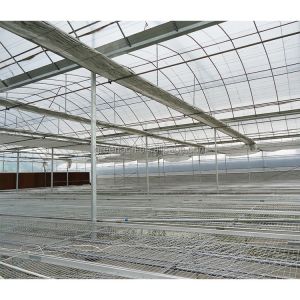 Film Type High Tunnel Greenhouse Customizable For Flowers Farming Demands