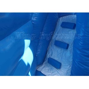 Frozen Giant Inflatable Castles Fun Game Obstacles Climb Areas Slides Jumping