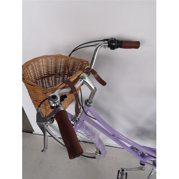 1.8m Length Steel Frame 700C Women Single Speed City Bike for American Market OEM/ODM