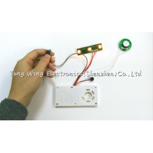 Twinkling Lights Flashing Baby Sound Module With Funny Birthday Songs