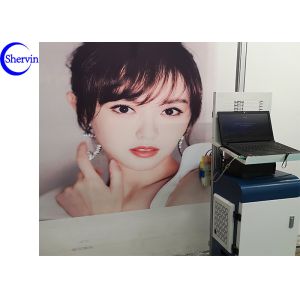 Mobile Pulley 15m2/H DX-7 Direct Wall Inkjet Printer