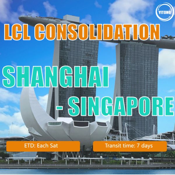 LCL Shipping Agent Sea Freight From Shanghai To Singapore