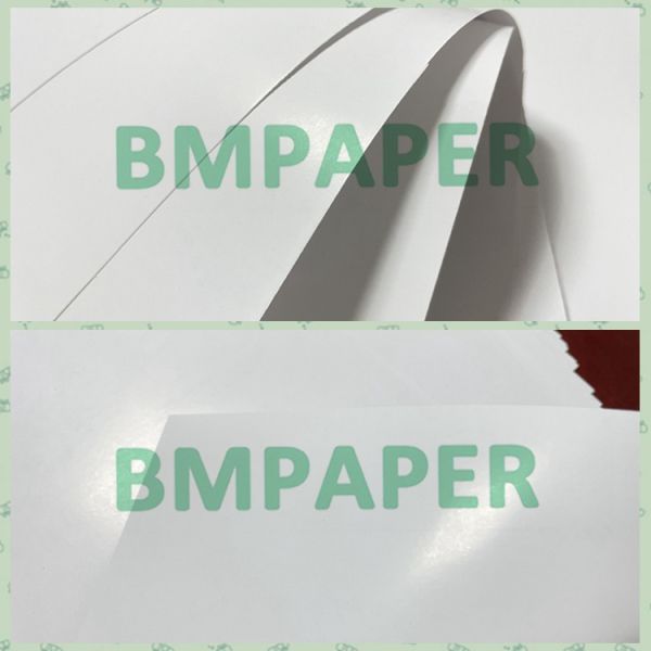 250g Excellent Printability Light Coated Paper For B2B Purchases