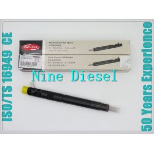 Great Wall Hover Delphi Diesel Fuel Injectors 28231014 1100100-ED01