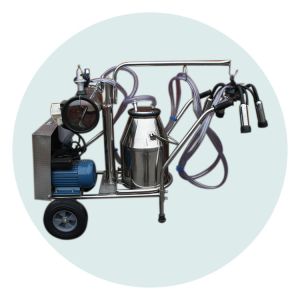 Negative Pressure 170L/min Cow Milking Machine SS304 Material