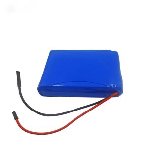 IEC62133 5000mAh 7.4 Volt Lithium Ion Polymer Battery