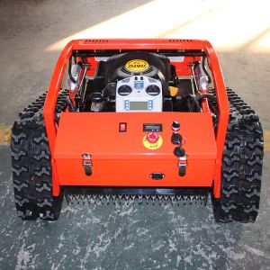 Petrol Lawn Mower Industrial/DIY Riding Mower with Rotary Cordless and Robotic