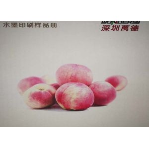 Corrugated Box Industrial Digital Printing Machine Save Time WDR200-44A