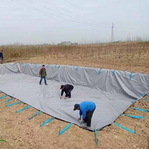 Mountainous Area Rainwater Collection Water Storage Tank for Sustainable Farming Solutions