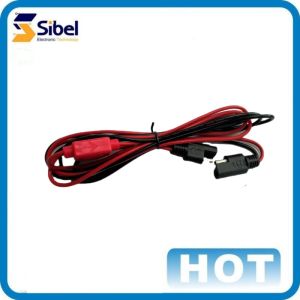 OEM auto customized automotive Wire Harness Automobile Cable Assembly Wiring