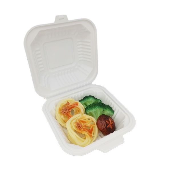 Biodegradable Disposable Food Container Durable Square Plastic Lunch Boxes with