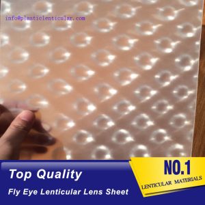 PLASTIC LENTICULAR PP materical 3d Fly eye lenticular film sheet with small dots