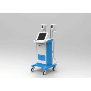 Quality Christmas Promotion!!! With 10% Discount Off | Cryolipolysis Slimming Machine for sale