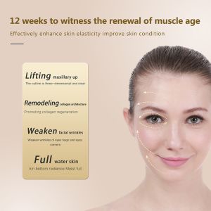 High-end Salon Rf Beauty Equipment Professional Facial Rejuvenation Lifting