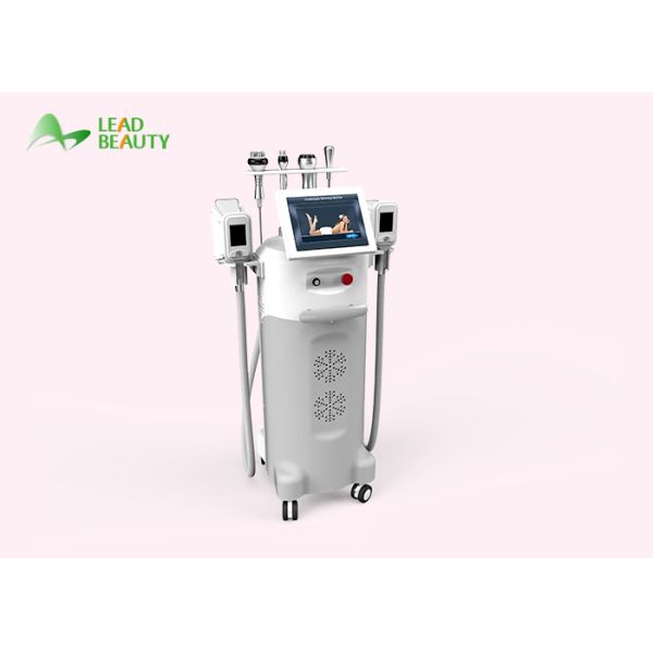 Slim master fat freeze cryolipolysis vacuum fitness machine on sale