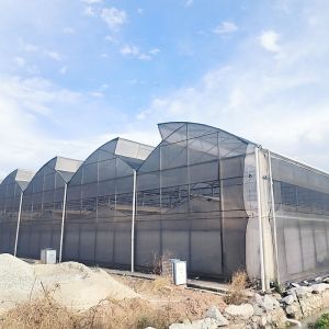 Tropical Climate Sawtooth Poly Tunnel Plastic Film Agricultural Greenhouse
