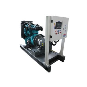 Canopy 20kw UK Perkins Diesel Generator Rainproof Generating 25kva