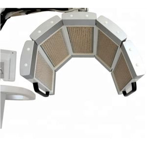 Salon PDT LED Machine Wrinkle Removal Skin Rejuvenation 2520pcs Lamps