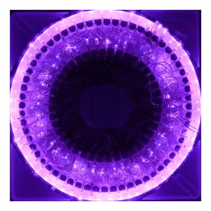 Quality LED String Party Lights for sale