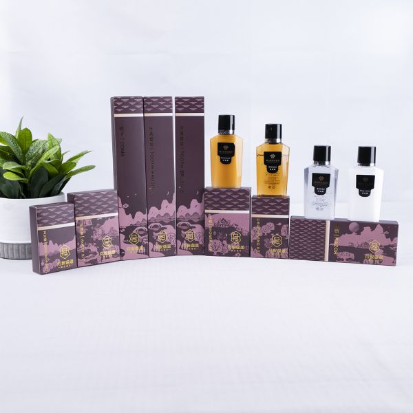 Buy Custom Hotel Disposable Hotel Room Amenity Amenities For Guest at wholesale prices