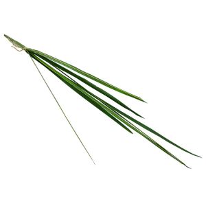 Clear Veins Green Artificial Ornamental Plant Dwarf Lilyturf Branches