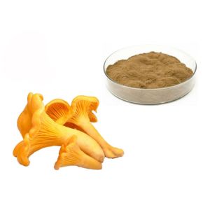 Buy cheap 30% Polysaccharides Chantarelle Mushroom Extract Powder from wholesalers