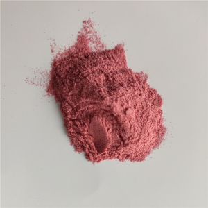 Wholesale Instant Powder Drink Dried Waxberry In Bulk