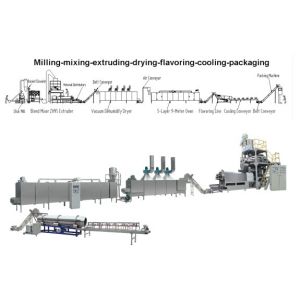 Easy Operation Customized Twin Screw Floating Fish Feed Pellet Extruder Making
