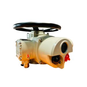 OEM Multi Turn Actuator 450NM IP67 Electric Valve Actuator 1.1 KW