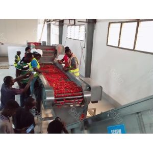 Custom Tomato Processing Line for Paste Sauce and Juice