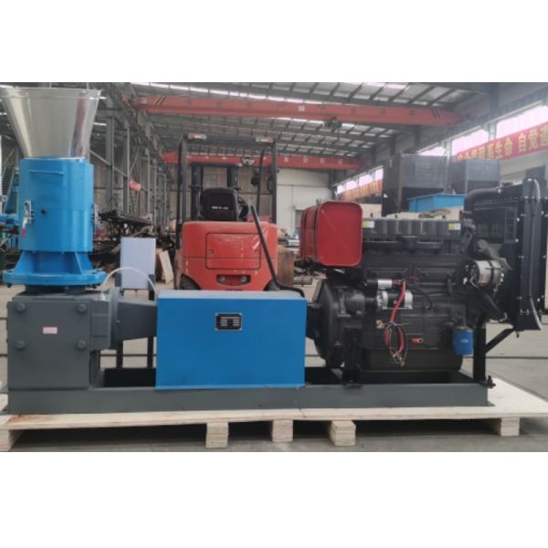 Buy Biomass Homemade Wood Pellet Machine 6mm-12mm Home Pellet Mill For Fuel at wholesale prices