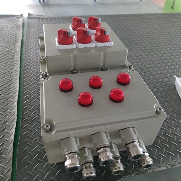 ATEX CNEX Certified Flameproof Control Panel For Painting Plant Marine EPC Company