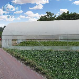 Tomato Poly Greenhouse Agricultural Tunnel Plastic Greenhouse For Drip