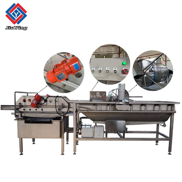 Commercial Vegetable Fruit Washing Machine 1.5T/h Vortex Type