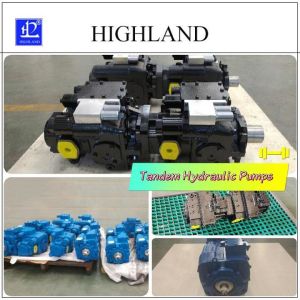 Customizable Tandem Hydraulic Pumps With Swash Plate Structure Design