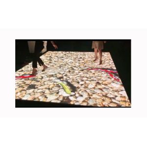 Advertising LED Video Dance Floor LED Display Concert LED Screen P3.91mm / P6