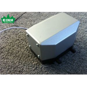 Lightweight Double Coils Micro Air Pump Electric Durable For Gas Monitor