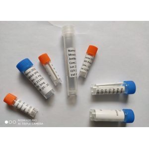 China Recombinant Rabbit Antibody (2019-NCoV) Spike Neutralizing Antibody, Rabbit Antibody on sale