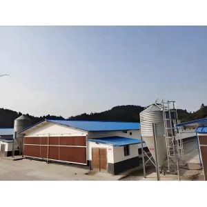 Steel Poultry Farm House Design Prefabricated Steel Structure Chicken Farm