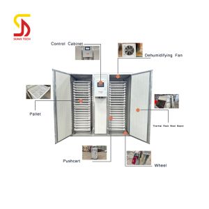 Fish Drying Oven Beef Drying Oven Fruit Drying Oven Herb Drying Oven for Seafood